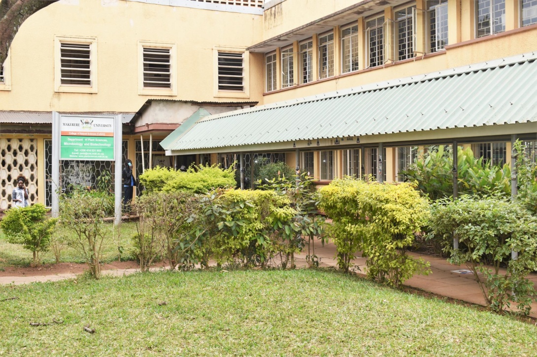 The walkway into the Department of Plant Sciences, Microbiology and Biotechnology, College of Natural Sciences (CoNAS), Makerere University, Kampala Uganda.